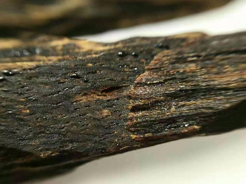 Resinous agarwood heartwood